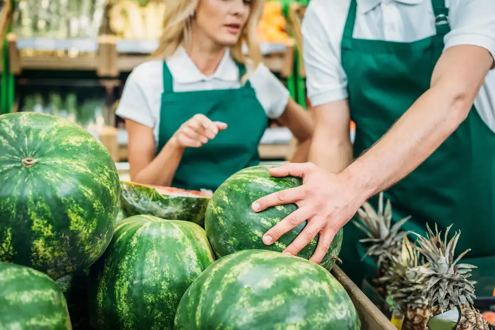 Pracovníci obchodu vyberajú zrelý melón, kontrolujú jeho kvalitu a farbu na povrchu.